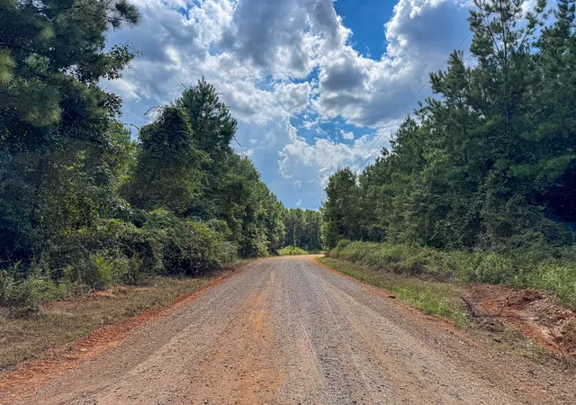 Photo 2 of Land for sale at T 1 Provencal Vowell Mills Rd, Provencal, LA 71468 | MLS# 21036755 | Listing updated on 2026-08-05