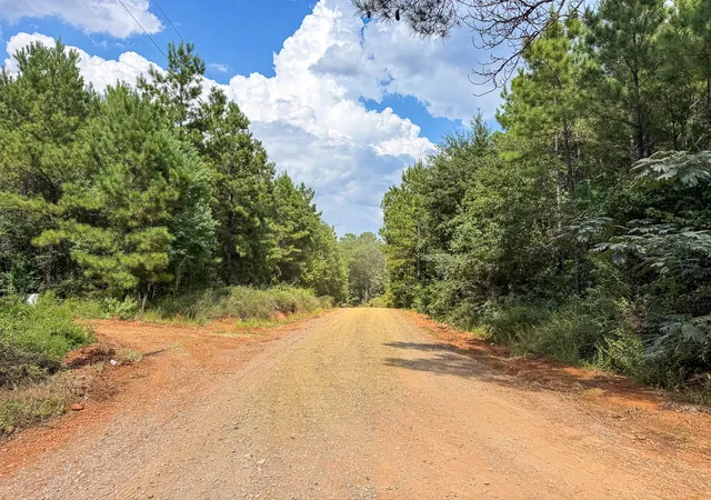 Photo 3 of Land for sale at T 1 Provencal Vowell Mills Rd, Provencal, LA 71468 | MLS# 21036755 | Listing updated on 2026-08-05