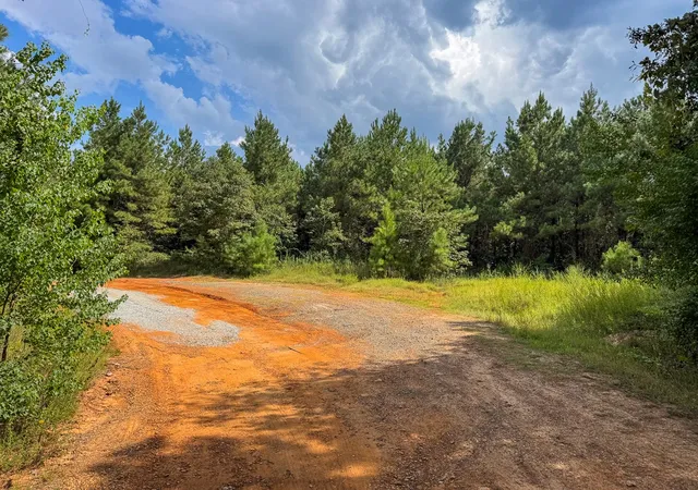 Photo 3 of Land for sale at T-1 Provencal Vowell Mills Rd, Provencal, LA 71468 | MLS# 21036755 | Listing updated on 2026-08-05
