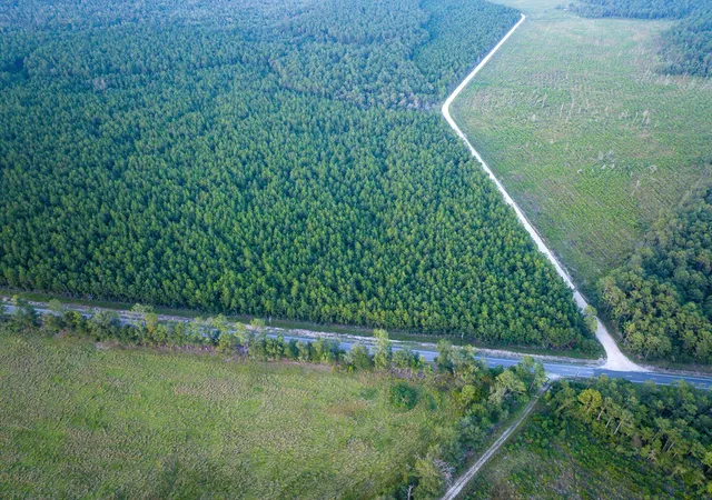Photo 2 of Land for sale at T 1 Starks Big Woods Rd, Lake Charles, LA 70661 | MLS# 21037447 | Listing updated on 2026-08-07