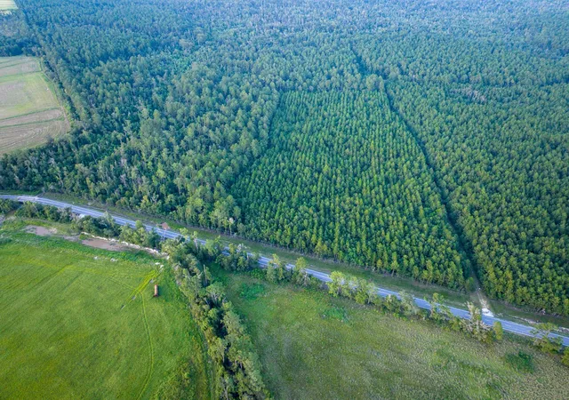 Photo 3 of Land for sale at T 1 Starks Big Woods Rd, Lake Charles, LA 70661 | MLS# 21037447 | Listing updated on 2026-08-07