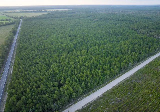 Photo 3 of Land for sale at T-1 Starks Big Woods Rd, Lake Charles, LA 70661 | MLS# 21037447 | Listing updated on 2026-08-07