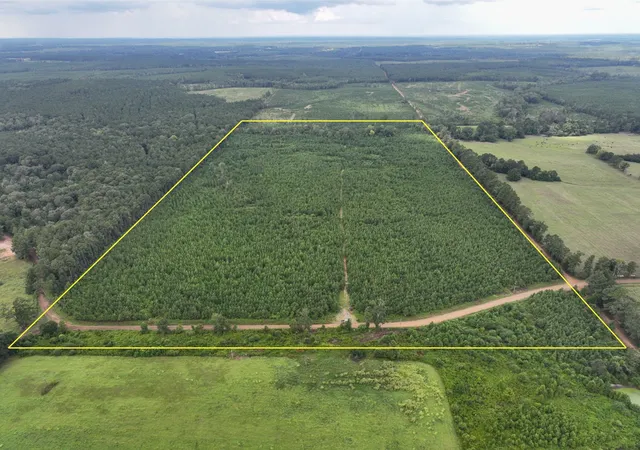 Photo 1 of Land for sale at 0 Warren Church Rd, Florien, LA 71429 | MLS# 21037722 | Listing updated on 2026-08-07