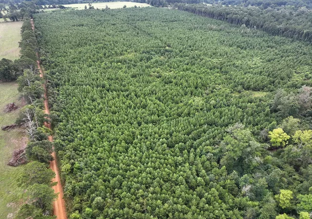 Photo 2 of Land for sale at 0 Warren Church Rd, Florien, LA 71429 | MLS# 21037722 | Listing updated on 2026-08-07