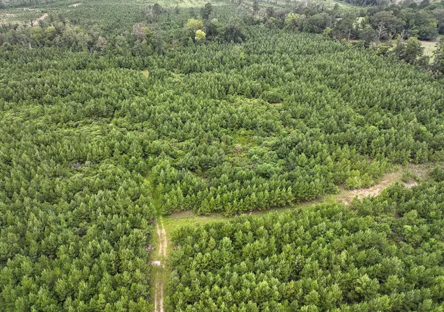 Photo 3 of Land for sale at 0 Warren Church Rd, Florien, LA 71429 | MLS# 21037722 | Listing updated on 2026-08-07