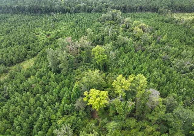 Photo 3 of Land for sale at 0 Warren Church Rd, Florien, LA 71429 | MLS# 21037722 | Listing updated on 2026-08-07