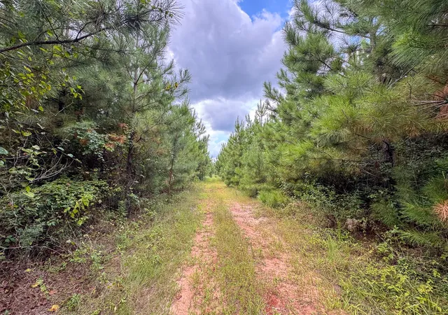 Photo 4 of Land for sale at 0 Warren Church Rd, Florien, LA 71429 | MLS# 21037722 | Listing updated on 2026-08-07