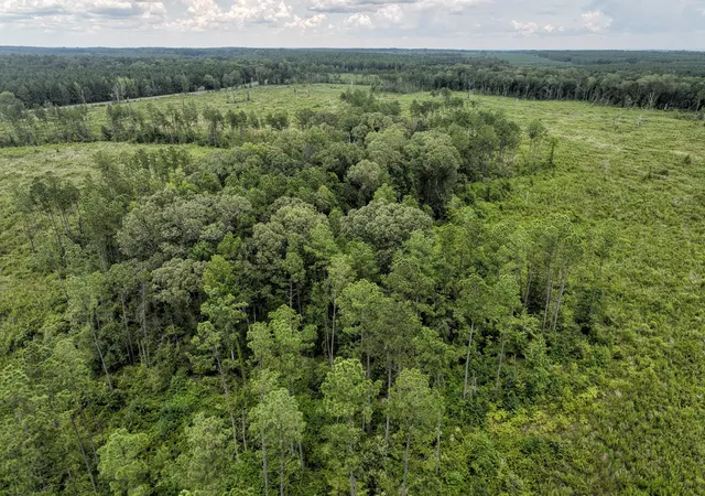 Photo 4 of Land for sale at T-1 Hwy 127, Jena, LA 71371 | MLS# 21037829 | Listing updated on 2026-08-07