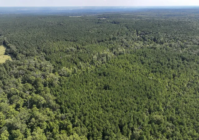 Photo 2 of Land for sale at Tbd Sam Booker Rd, Mansfield, LA 71052 | MLS# 21037923 | Listing updated on 2026-08-07