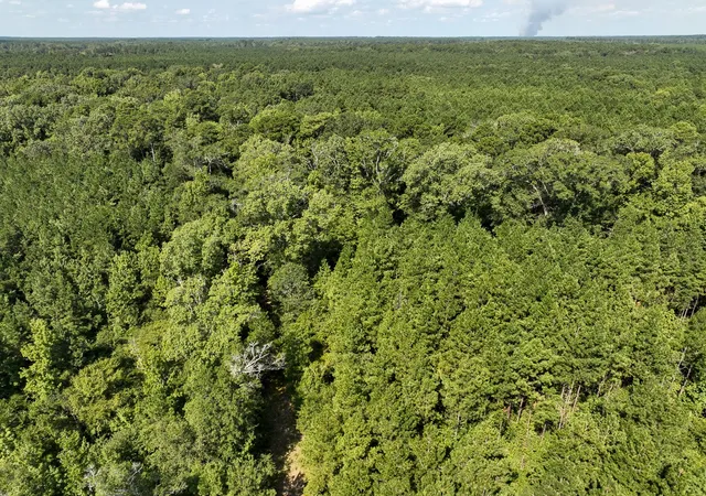 Photo 3 of Land for sale at Tbd Sam Booker Rd, Mansfield, LA 71052 | MLS# 21037923 | Listing updated on 2026-08-07