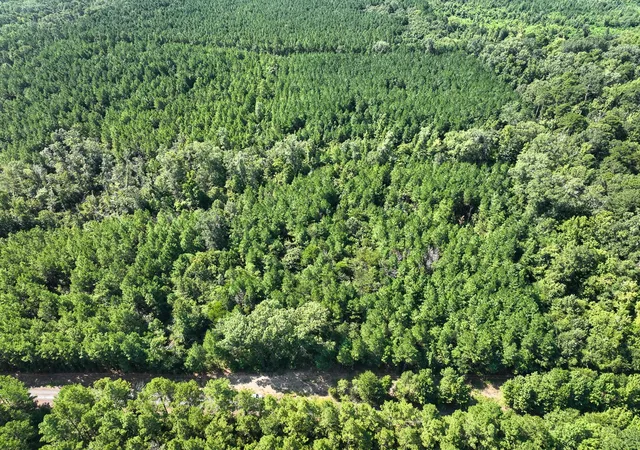 Photo 3 of Land for sale at Tbd Sam Booker Rd, Mansfield, LA 71052 | MLS# 21037923 | Listing updated on 2026-08-07