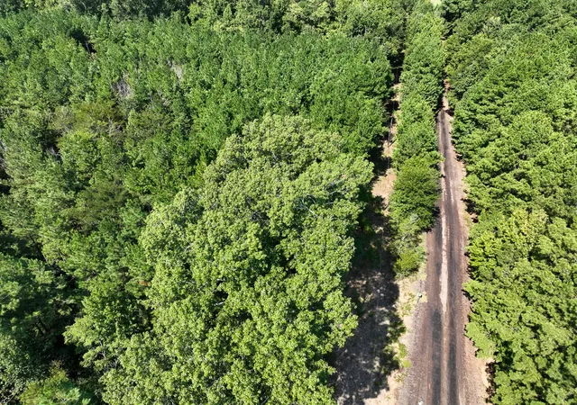 Photo 4 of Land for sale at Tbd Sam Booker Rd, Mansfield, LA 71052 | MLS# 21037923 | Listing updated on 2026-08-07