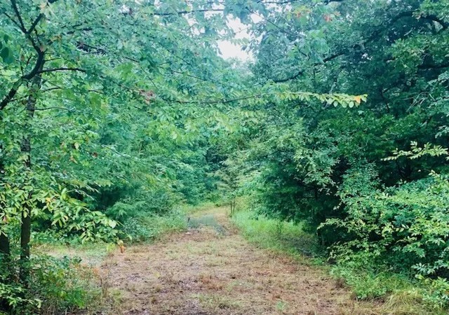Photo 4 of Sale Pending at 9744 Shady Ln, Quinlan, TX 75474 | MLS# 21038481 | Listing updated on 2026-07-27