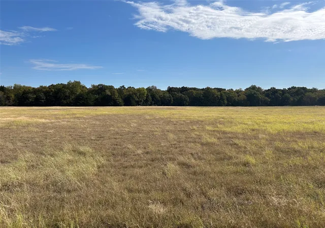 Homes for sale in Callisburg, TX | Tbd8 County Road 141, Callisburg, TX 76240 | MLS# 21039211