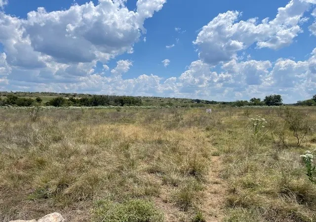 Homes for sale in Gustine, TX | 217 Park Meadows Dr, Gustine, TX 76455 | MLS# 21038495