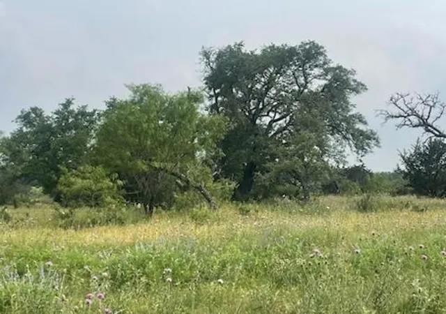 Photo 2 of Land for sale at Lot 175 Heartleaf Dr, Lampasas, TX 76550 | MLS# 21039785 | Listing updated on 2026-09-23