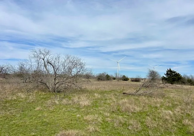 Homes for sale in Dawson, TX | Tbd Sw Cr 4260 Tract 3, Dawson, TX 76639 | MLS# 21039980