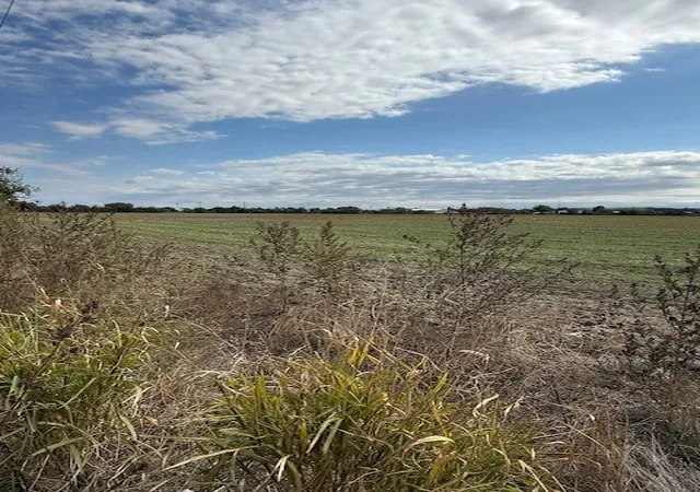 Photo 3 of Land for sale at 3010 Potosi Rd, Abilene, TX 79602 | MLS# 20921477 | Listing updated on 2026-08-18