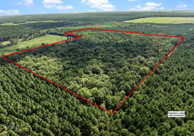 4th image of 356 Cottage Grove Rd, Benton, LA 71006 | MLS# 21039191