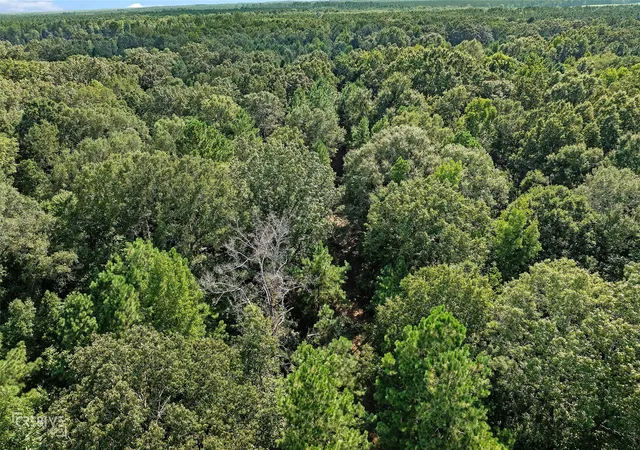 5th image of 356 Cottage Grove Rd, Benton, LA 71006 | MLS# 21039191