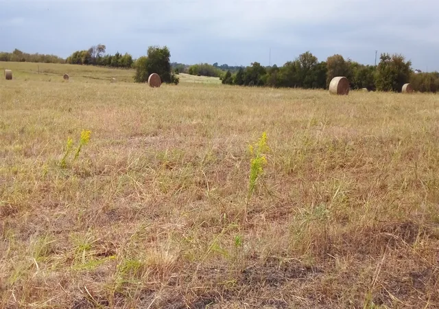 Photo 3 of Land for sale at 000 Mirage Dr, Nevada, TX 75173 | MLS# 21040435 | Listing updated on 2026-08-10