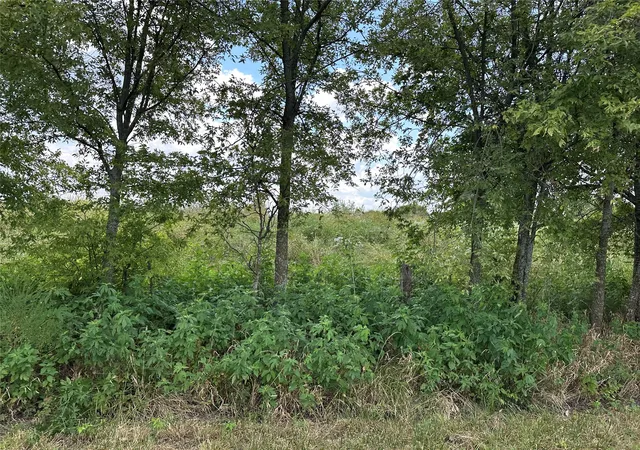Photo 3 of Sale Pending at Lot 1 Rutledge Rd, Whitewright, TX 75491 | MLS# 21041636 | Listing updated on 2026-09-26