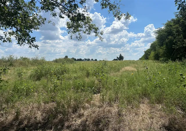 Photo 3 of Sale Pending at Lot 1 Rutledge Rd, Whitewright, TX 75491 | MLS# 21041636 | Listing updated on 2026-09-26