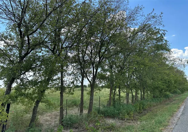 4th image of Lot 5 Rutledge Rd, Whitewright, TX 75491 | MLS# 21041774