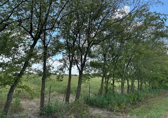 5th image of Lot 5 Rutledge Rd, Whitewright, TX 75491 | MLS# 21041774