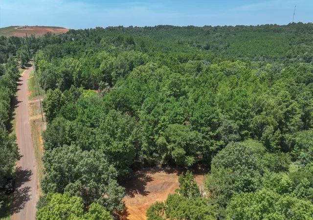Homes for sale in Jacksonville, TX | Tract 1 County Road 4102, Jacksonville, TX 75766 | MLS# 21041388