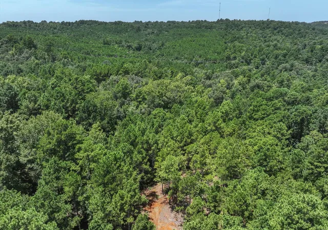 Homes for sale in Jacksonville, TX | Tract 1 County Road 4102, Jacksonville, TX 75766 | MLS# 21041388