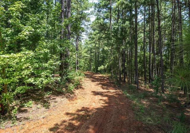 Homes for sale in Jacksonville, TX | Tract 2 County Road 4102, Jacksonville, TX 75766 | MLS# 21041400