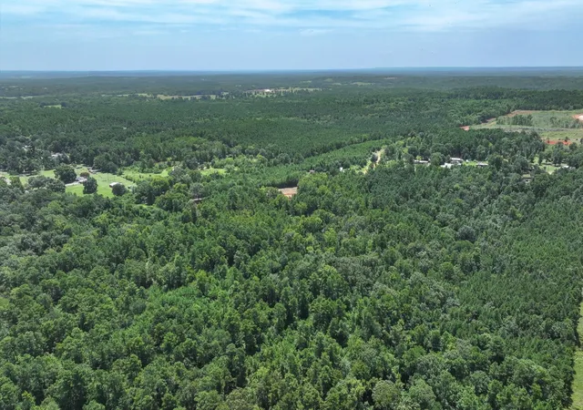 Homes for sale in Jacksonville, TX | Tract 3 County Road 4102, Jacksonville, TX 75766 | MLS# 21041406