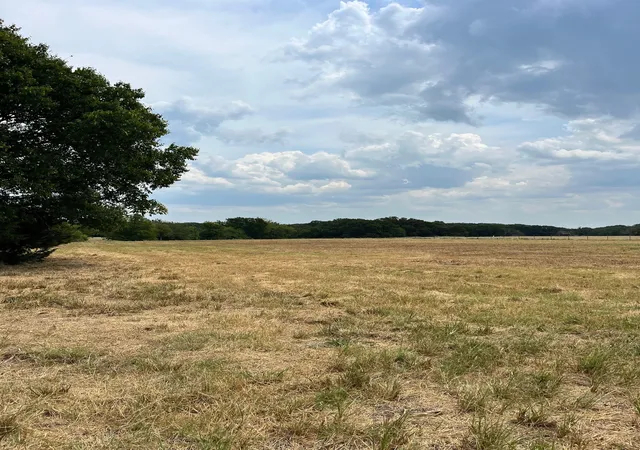 Photo 2 of Land for sale at 001 County Road 2610, Bonham, TX 75418 | MLS# 21042242 | Listing updated on 2026-08-29