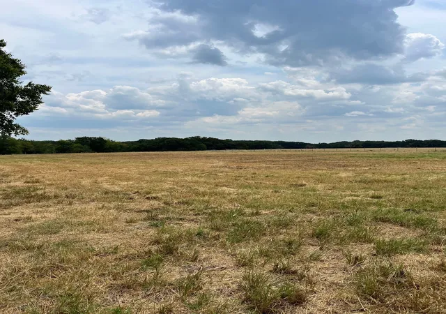 Photo 3 of Land for sale at 001 County Road 2610, Bonham, TX 75418 | MLS# 21042242 | Listing updated on 2026-08-29