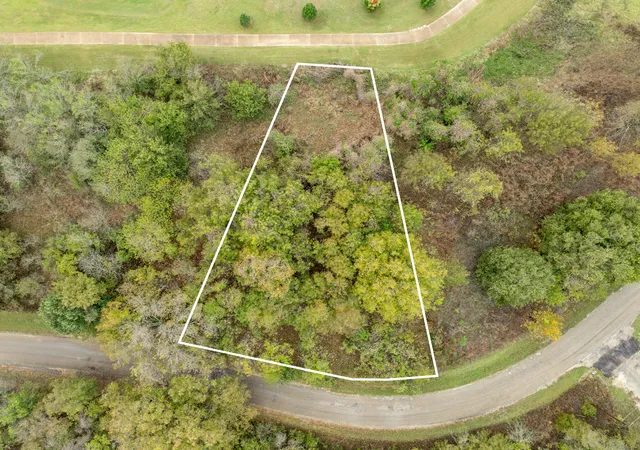 Photo 3 of Land for sale at 40 Lots White Bluff, Whitney, TX 76692 | MLS# 21041823 | Listing updated on 2026-07-23