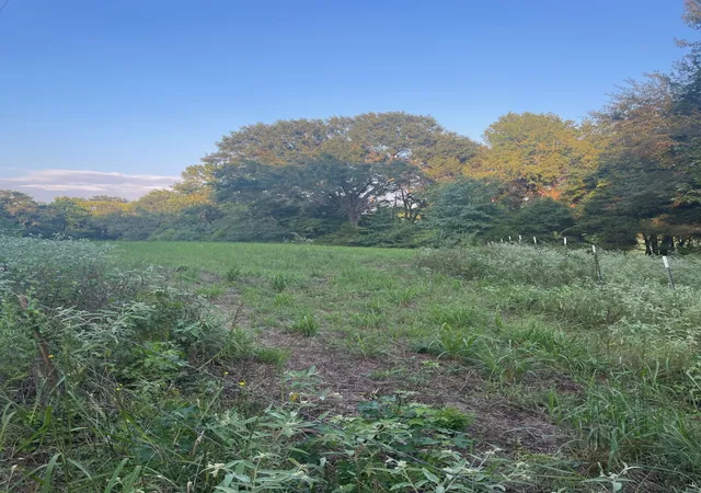 Photo 2 of Land for sale at 0000 Fm 2909 & Pr 8905, Canton, TX 75103 | MLS# 21043319 | Listing updated on 2026-08-26