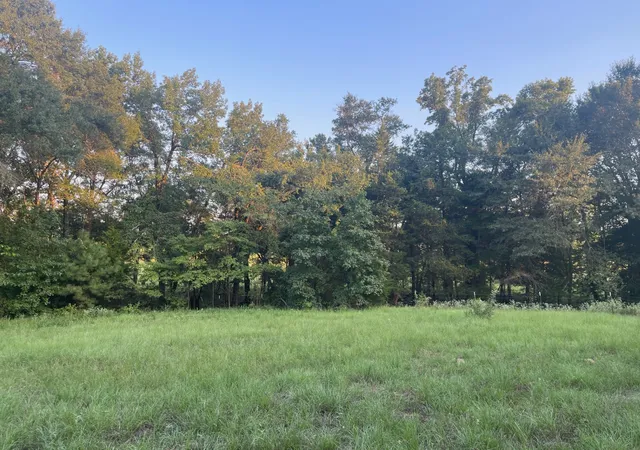 Photo 3 of Land for sale at 0000 Fm 2909 & Pr 8905, Canton, TX 75103 | MLS# 21043319 | Listing updated on 2026-08-26