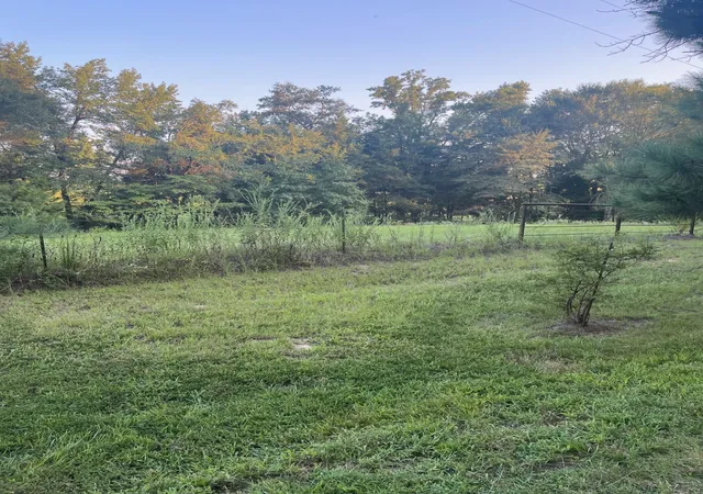 Photo 3 of Land for sale at 0000 Fm 2909 & Pr 8905, Canton, TX 75103 | MLS# 21043319 | Listing updated on 2026-08-26