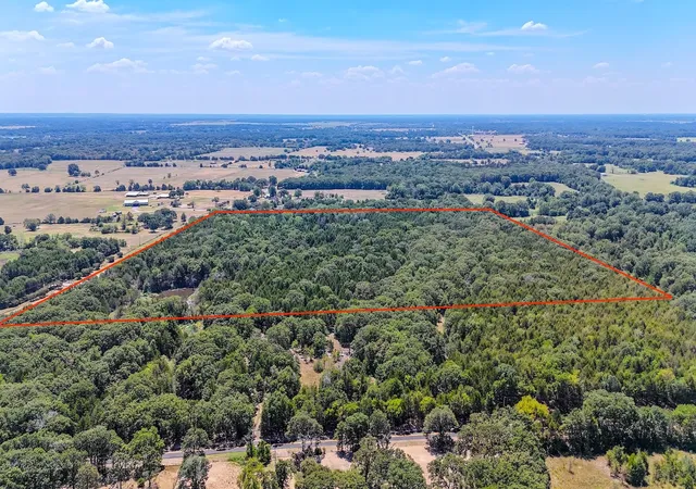 Photo 2 of Land for sale at 000 Fm 273, Ivanhoe, TX 75447 | MLS# 21040234 | Listing updated on 2026-08-22