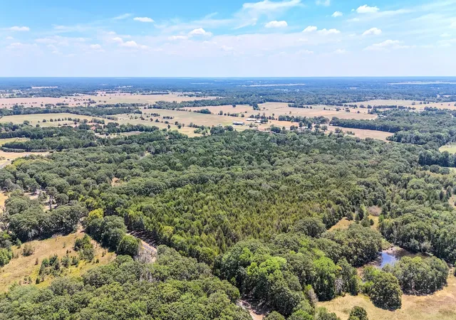 Photo 4 of Land for sale at 000 Fm-273, Ivanhoe, TX 75447 | MLS# 21040234 | Listing updated on 2026-09-18