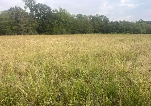 Photo 1 of Sale Pending at Cr 2353 Cr 2353, Bagwell, TX 75412 | MLS# 21044818 | Listing updated on 2026-08-19