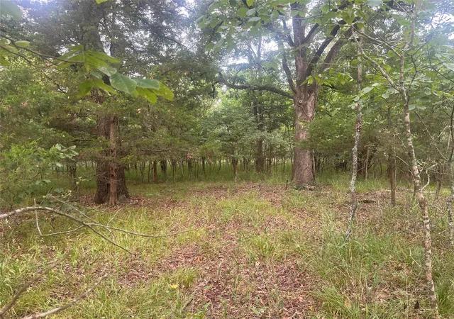 Photo 2 of Sale Pending at Cr 2353 Cr 2353, Bagwell, TX 75412 | MLS# 21044818 | Listing updated on 2026-08-19