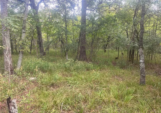 Photo 3 of Sale Pending at Cr 2353 Cr 2353, Bagwell, TX 75412 | MLS# 21044818 | Listing updated on 2026-08-19