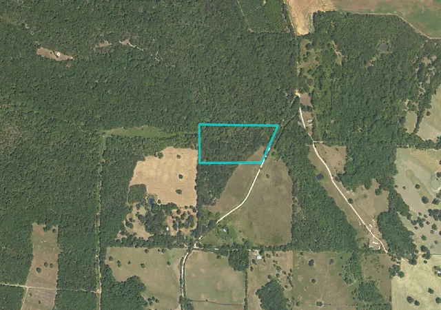 Homes for sale in Bagwell, TX | Cr 2353 Cr 2353, Bagwell, TX 75412 | MLS# 21044818