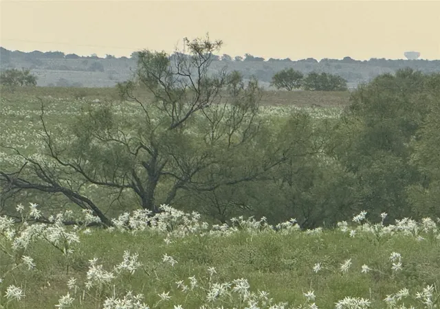 Photo 3 of Land for sale at 279 Private Road 4512, Decatur, TX 76234 | MLS# 21029465 | Listing updated on 2026-08-17