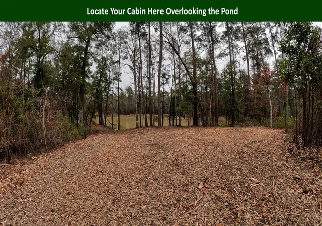 Photo 3 of Land for sale at 0 E Pr 6150, Woodville, TX 75979 | MLS# 21045364 | Listing updated on 2026-08-28