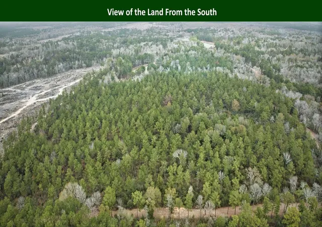 Photo 4 of Land for sale at 0 E Pr 6150, Woodville, TX 75979 | MLS# 21045364 | Listing updated on 2026-08-28