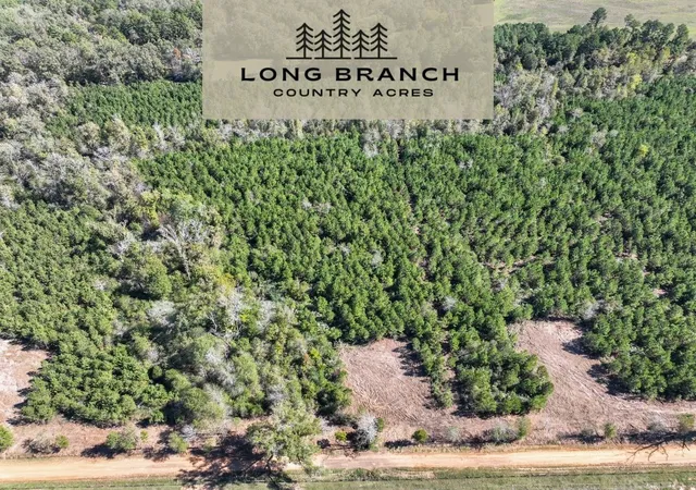 Photo 1 of Land for sale at 6 County Road 3121, Long Branch, TX 75669 | MLS# 21045970 | Listing updated on 2026-08-03