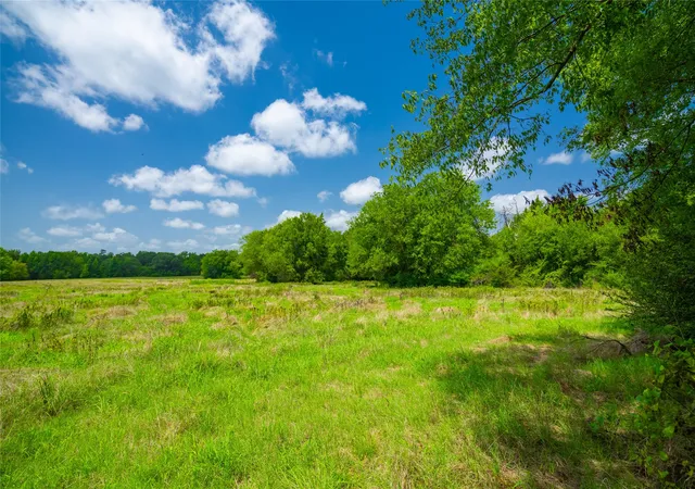 Photo 2 of Land for sale at 0 County Road 3311, Omaha, TX 75571 | MLS# 21046364 | Listing updated on 2026-07-17